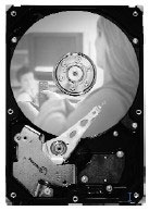 Seagate Barracuda 7200.10 160GB SATA 3Gb/s NCQ (ST3160215AS)